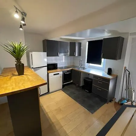 Loft 60 M2, Le Vieux-mans Apartment *
