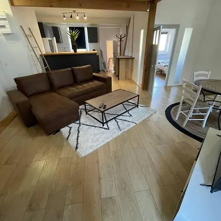 Loft 60 M2, Le Vieux-mans Apartment *