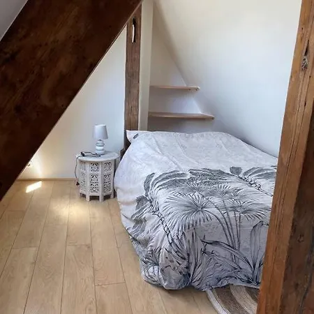 Loft 60 M2, Le Vieux-mans * Le Mans